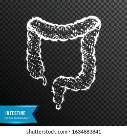 intestine from connecting dot and line. light effect. vector illustration, isolated on transparent background