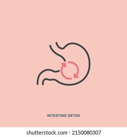 Intestine detox outline vector icon. Isolated linear picture of stomach and arrows