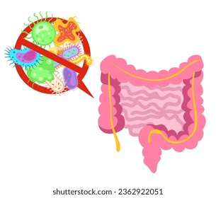 Intestine digestive gut bacteria system microflora concept. Vector flat graphic design illustration