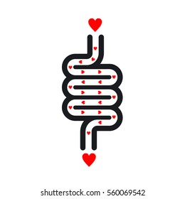 Intestine And Good Bacteria Love 