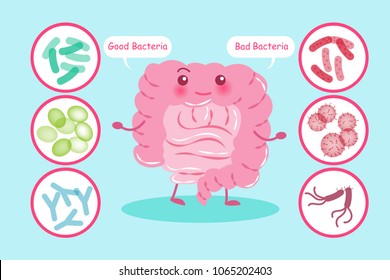 intestine with health concept on the blue background