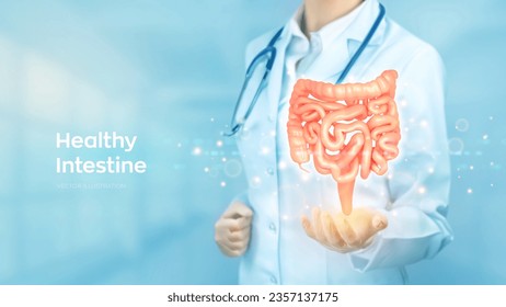 Intestine health. Diagnosis and treatment of the bowel. Intestinal inflammation, enteritis, colitis, dysbacteriosis. Doctor holding in hand human Intestine organ. Gastroenterology concept. Vector.