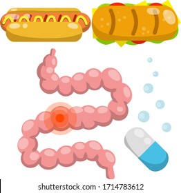 Intestine. Human digestive system. Sick red spot. Medical pill for indigestion. Cartoon flat illustration. Set of objects of hospital. Junk fast food, hot dog, tacos