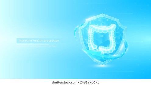 Intestine human organ anatomy style polygonal in shield glowing surrounded by blue arrows. Medical science protection symbol. Health care concept. Banner vector EPS10.