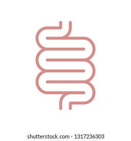 Intestine human organ icon. Intestine graphic sign isolated on white background. Medical symbol. Vector illustration