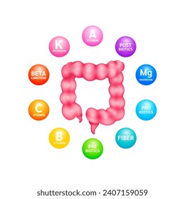 Intestine human organ surrounded by Probiotic Prebiotic Postbiotics and Fiber Beta carotene. On white background. Supplement nutrients necessary for intestine. Medical health care. Vector.