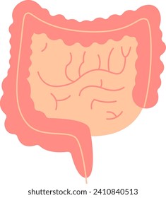 Intestine Human Organ Vector Illustration