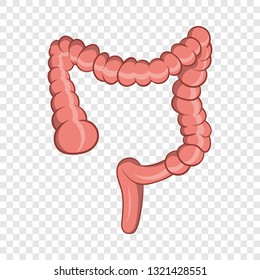 Intestine icon in cartoon style isolated on background for any web design 