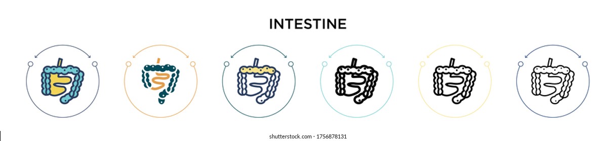 Intestine icon in filled, thin line, outline and stroke style. Vector illustration of two colored and black intestine vector icons designs can be used for mobile, ui, web