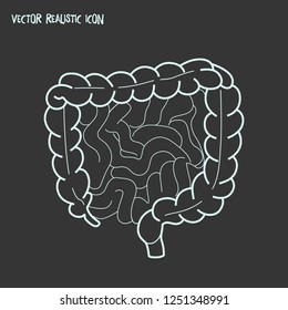 Intestine icon line element. Vector illustration of intestine icon line isolated on clean background for your web mobile app logo design.