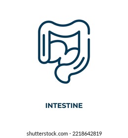 Intestine icon. Linear vector illustration. Outline intestine icon vector. Thin line symbol for use on web and mobile apps, logo, print media.