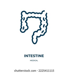 Intestine icon. Linear vector illustration from medical collection. Outline intestine icon vector. Thin line symbol for use on web and mobile apps, logo, print media.