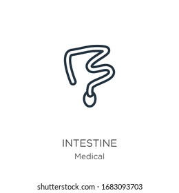 Intestine icon. Thin linear intestine outline icon isolated on white background from medical collection. Line vector sign, symbol for web and mobile