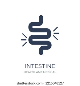 Intestine icon. Trendy flat vector Intestine icon on white background from Health and Medical collection, vector illustration can be use for web and mobile, eps10