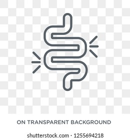 Intestine icon. Trendy flat vector Intestine icon on transparent background from Health and Medical collection. High quality filled Intestine symbol use for web and mobile