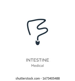 Intestine icon vector. Trendy flat intestine icon from medical collection isolated on white background. Vector illustration can be used for web and mobile graphic design, logo, eps10
