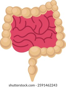 Intestine  illustration with isolated background  