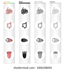 Intestine, internal organ, duodenum, human eye, tongue and tonsils. Human organs set collection icons in cartoon black monochrome outline style vector symbol stock illustration web.