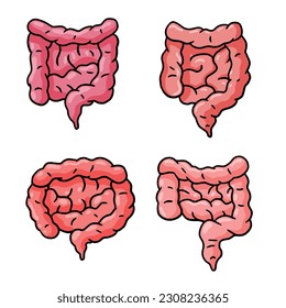 Intestine internal organ. Human pink digestive tract. Set of Medical icon. Illustration isolated on white