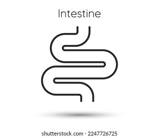 Intestine line icon. Digestion sign. Health bowel symbol. Colonoscopy gut procedure. Illustration for web and mobile app. Line style intestines health icon. Editable stroke colon bowel. Vector