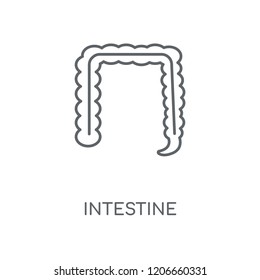 Intestine linear icon. Intestine concept stroke symbol design. Thin graphic elements vector illustration, outline pattern on a white background, eps 10.