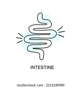 Intestine linear icon. Human Intestine in linear style isolated. Icon organ Intestine. vector eps10