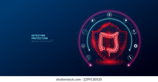 Intestine medical healthcare. Human intestine anatomy organ translucent low poly triangle inside shield futuristic red on dark blue background. Immunity protection medical innovation concept. Vector.