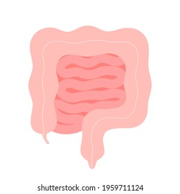 Intestine organ, digestive bowel system. Healthy gut. Curve bowel. Internal, viscera, inside gastrointestinal organ. Vector cartoon illustration