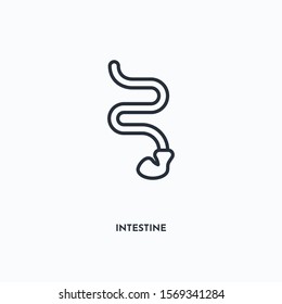 Intestine outline icon. Simple linear element illustration. Isolated line Intestine icon on white background. Thin stroke sign can be used for web, mobile and UI.