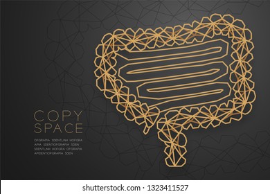 Intestine shape wireframe polygon golden frame structure, Medical Science Organ concept design illustration isolated on black gradient background with copy space, vector eps 10