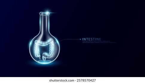 Intestine transparent in beaker glass sphere test tube on dark blue background. Internal organ anatomy sample medical science experiment. Research genetic scientific concept. Vector EPS10.