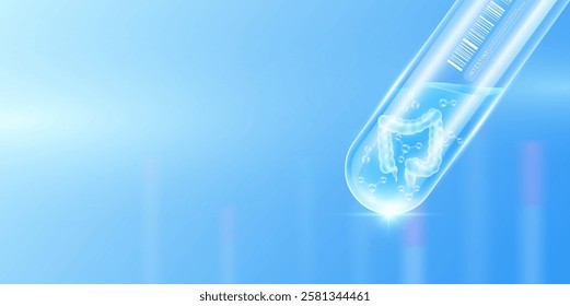 Intestine transparent and molecule in glass test tube with empty space for text. Human internal organ anatomy sample science research experiment. Medical scientific concept. Banner vector.