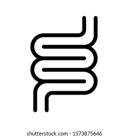 intestine vector glyph flat icon 