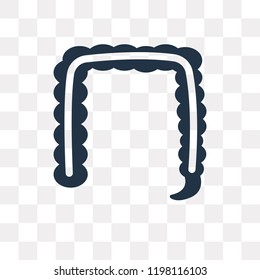 Intestine vector icon isolated on transparent background, Intestine transparency concept can be used web and mobile