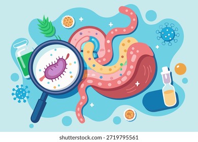 Intestinos con bacterias y una lupa en un estilo de Vector limpio. Ideal para conceptos educativos y de salud centrados en la salud intestinal y los microorganismos.