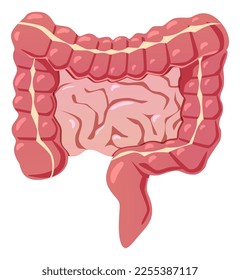 Intestines cartoon icon. Gut symbol. Digestive organ