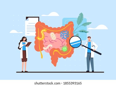 Intestines Diagnosis Research Infection Medicine Concept. Vector Flat Cartoon Graphic Design Illustration