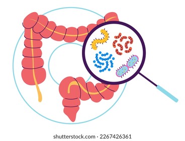 Intestines diagnostic infographic abdomen gastro concept. Vector graphic design element illustration