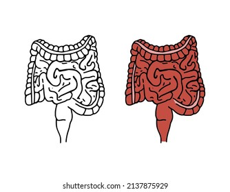 Ilustración vectorial del doodle de intestinos. Iconos de dibujos animados del sistema digestivo aislados en fondo blanco. Órgano interno humano en estilo dibujado a mano