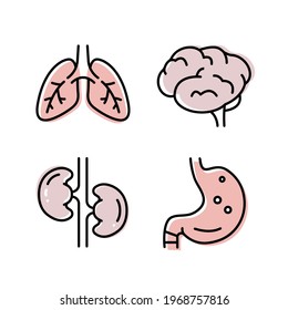 Intestines flat icon. Collection of outline symbols. Graphic Set of humans organs Brain Lungs Stomach Kidneys. Vector illustration on white background