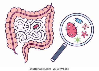 Darm mit Keimen und Bakterien unter einer Lupe im Vektorstil. Geeignet für Designs zum Thema Gesundheit, Biologie und Mikrobiologie.