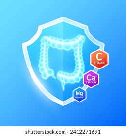 Intestines in glass shield. Probiotic Magnesium Calcium Vitamins C supplement nutrients necessary for health. Create balance for the gut. Medical health care. Vector.