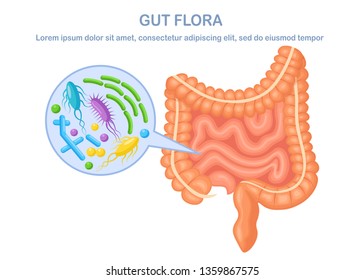 Intestines, guts flora isolated on white background. Digestive tract with bacteria, virus. Colon, bowel. Vector cartoon design