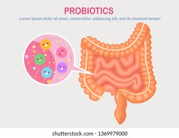 Intestines, guts flora isolated on white background. Digestive system, tract with cute bacteria, probiotics, virus, microorganisms. Medicine, biology concept. Colon, bowel Vector flat design