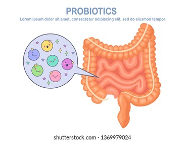 Intestines, guts flora isolated on white background. Digestive system, tract with cute bacteria, probiotics, virus, microorganisms. Medicine, biology concept. Colon, bowel Vector flat design