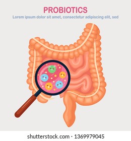 Intestines, guts flora isolated on white background. Digestive tract with cute bacteria, probiotics, virus, microorganisms, magnifying glass. Medicine, biology concept. Colon, bowel Vector flat design