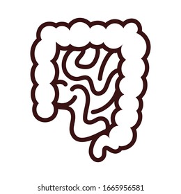 intestines human organs line style vector illustration design