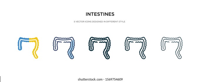 intestines icon in different style vector illustration. two colored and black intestines vector icons designed in filled, outline, line and stroke style can be used for web, mobile, ui