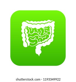 Intestines icon digital green for any design isolated on white vector illustration