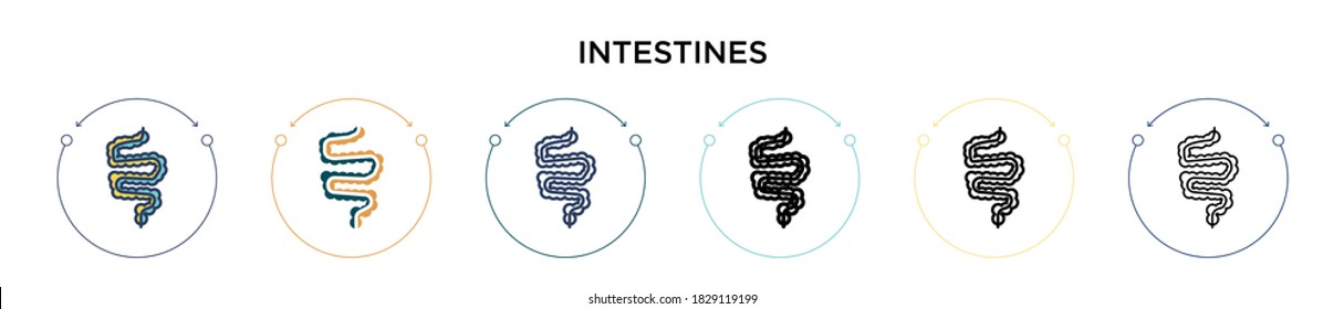 Intestines icon in filled, thin line, outline and stroke style. Vector illustration of two colored and black intestines vector icons designs can be used for mobile, ui, web